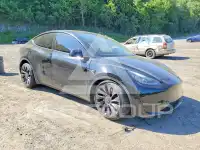 2023 Tesla Model Y photo
