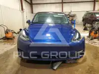 2023 Tesla Model Y photo