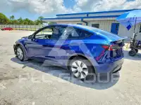 2023 Tesla Model Y photo