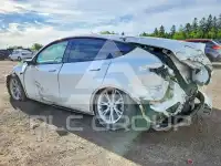 2023 Tesla Model Y фото