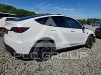 2023 Tesla Model Y photo