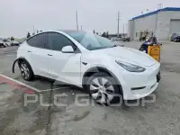 2023 Tesla Model Y фото