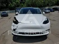 2023 Tesla Model Y photo