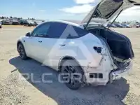 2023 Tesla Model Y фото