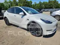 2023 Tesla Model Y фото