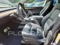 2023 Tesla Model Y photo