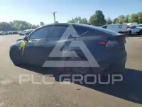 2023 Tesla Model Y photo