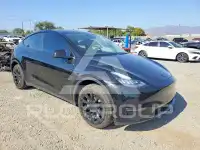 2023 Tesla Model Y фото