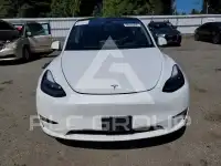 2023 Tesla Model Y photo