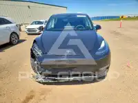 2023 Tesla Model Y фото