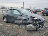2023 Tesla Model Y фото