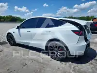 2023 Tesla Model Y photo