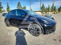 2023 Tesla Model Y photo