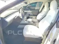 2023 Tesla Model Y photo
