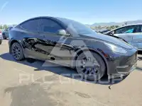 2023 Tesla Model Y фото