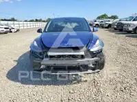 2023 Tesla Model Y photo