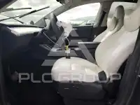 2023 Tesla Model Y photo