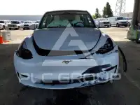 2023 Tesla Model Y photo