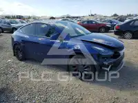 2023 Tesla Model Y photo