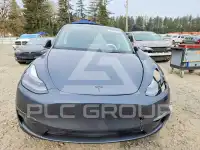 2023 Tesla Model Y фото