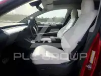 2023 Tesla Model Y photo