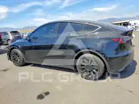 2023 Tesla Model Y photo