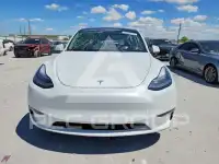 2023 Tesla Model Y photo
