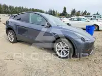 2023 Tesla Model Y фото