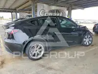 2023 Tesla Model Y фото