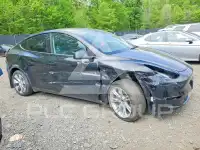 2023 Tesla Model Y фото