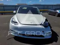 2023 Tesla Model Y фото