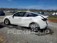 2023 Tesla Model Y photo