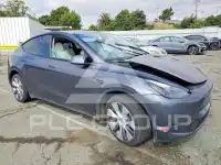 2023 Tesla Model Y photo