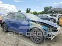 2023 Tesla Model Y фото