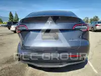2023 Tesla Model Y photo