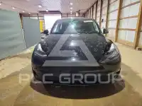 2023 Tesla Model Y фото