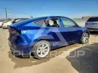 2023 Tesla Model Y фото