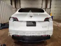2023 Tesla Model Y фото