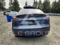 2023 Tesla Model Y фото