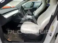 2023 Tesla Model Y photo
