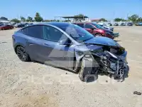 2023 Tesla Model Y фото