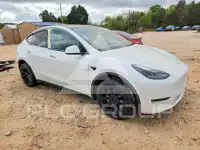 2023 Tesla Model Y фото