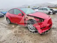 2023 Tesla Model Y photo