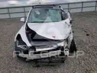 2023 Tesla Model Y фото