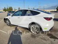 2023 Tesla Model Y фото