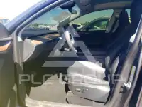 2023 Tesla Model Y photo