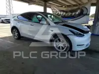 2023 Tesla Model Y photo