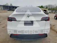 2023 Tesla Model Y фото