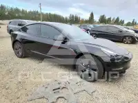 2023 Tesla Model 3 photo