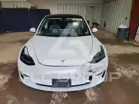 2023 Tesla Model 3 photo